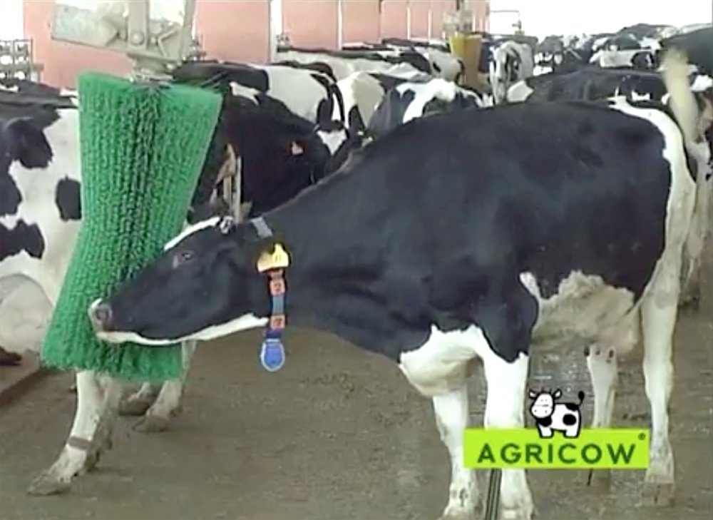 CowKing Rotating Cattle Brush Dairy Spares