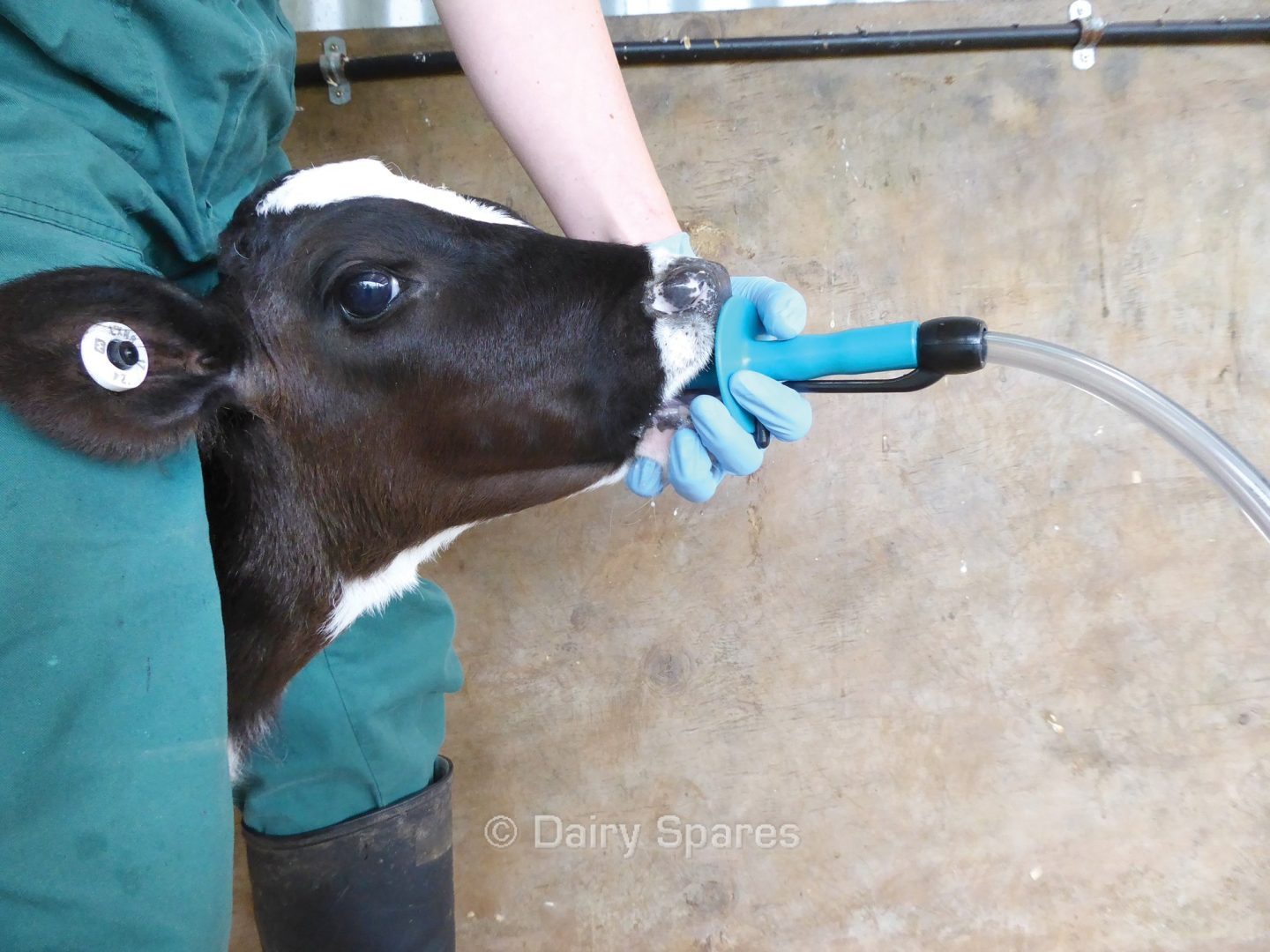 Trusti Tuber Calf Feeding Starter Kit ANT01A Dairy Spares